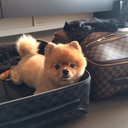 Amanda Archetti man style menswear shopping milan suitcases silkgiftmilan imageconsultant personalshopper personalstylist