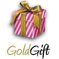 Gold Gift for woman – man | 1 hour of image consulting and personal shopping