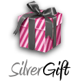 Silver Gift for woman – man | 1 hour of image consulting or personal shopping