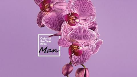 Radiant Orchid, purple, the colour of the year 2014