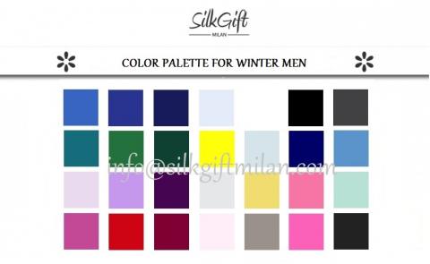 The image consulting: THE WINTER MAN The image consulting: THE WINTER MAN